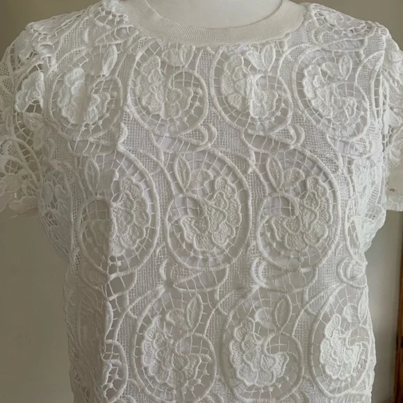 Ted Baker White Lace Short-Sleeve Blouse - Picture 4 of 11